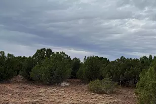 8776 Clark Rd, Show Low, AZ 85901 - Photo 1