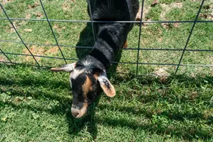 29617 W Eagle Dr, Palo Verde, AZ 85343 - Photo 88