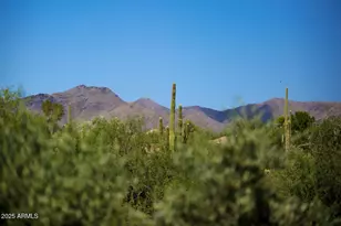 2304 Fox Tail Trail, Carefree, AZ 85377 - Photo 66