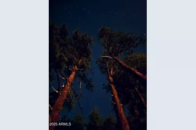 395 W Lazy Pine Lane #-, Munds Park, AZ 86017 - Photo 12