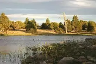 98 Aspen Dr, Mormon Lake, AZ 86038 - Photo 24