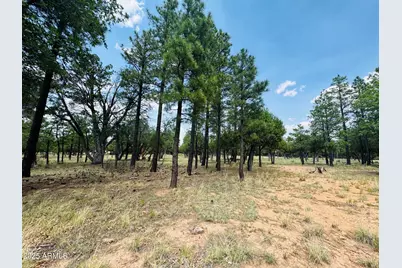 3236 Durango, Happy Jack, AZ 86024 - Photo 1