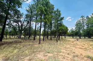 3236 Durango, Happy Jack, AZ 86024 - Photo 1