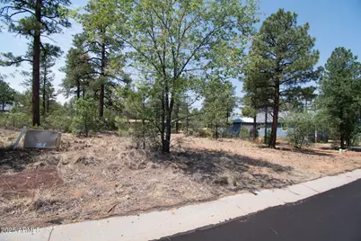 381 E Huckleberry Lane #4, Show Low, AZ 85901 - Photo 2