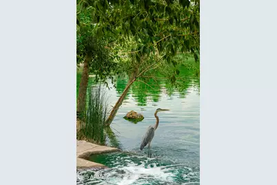 4927 E Mount Pleasant Drive, Flagstaff, AZ 86004 - Photo 66