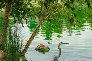 4927 E Mt Pleasant Dr, Flagstaff, AZ 86004 - Photo 66