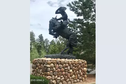 2344 S Buffalo Loop S, Overgaard, AZ 85933 - Photo 40