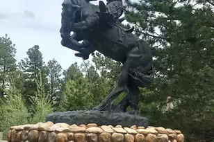 2344 S Buffalo Loop S, Overgaard, AZ 85933 - Photo 40