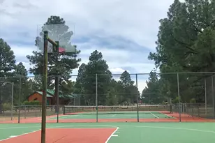 2344 S Buffalo Loop S, Overgaard, AZ 85933 - Photo 38