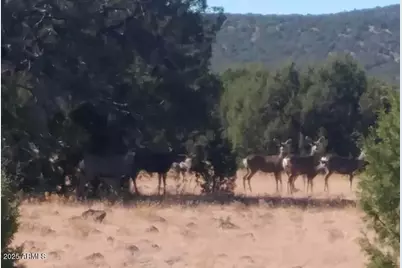 369 B E Antler Trail, Williams, AZ 86046 - Photo 20