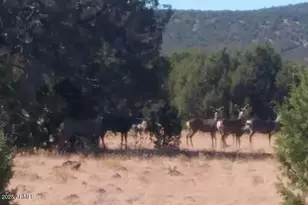 369 B E Antler Trail, Williams, AZ 86046 - Photo 20