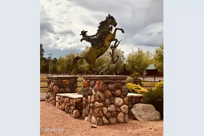 2345 Quarter Horse Trail #222, Overgaard, AZ 85933 - Photo 34