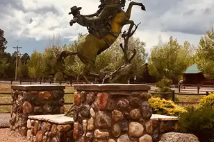 2345 Quarter Horse Trl, Overgaard, AZ 85933 - Photo 34