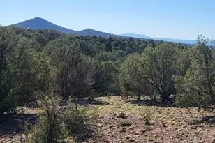 167 N Cattle Dr, Williams, AZ 86046 - Photo 16