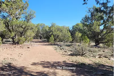 167 N Cattle Drive, Williams, AZ 86046 - Photo 6