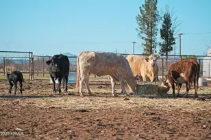 4300 W Prince Rd, McNeal, AZ 85617 - Photo 6