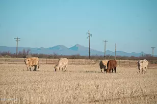 4300 W Prince Rd, McNeal, AZ 85617 - Photo 44