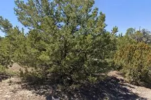 - W Snowline Dr, Eagar, AZ 85925 - Photo 1