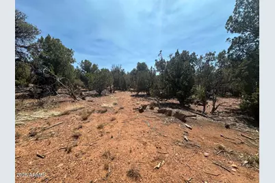 Lot #2 Power Line Road, Heber, AZ 85928 - Photo 4