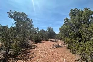 Lot #2 Power Line Rd, Heber, AZ 85928 - Photo 1