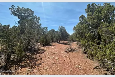 Lot #2 Power Line Road, Heber, AZ 85928 - Photo 4