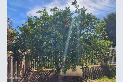 802 N Alzora Way, Tolleson, AZ 85353 - Photo 28