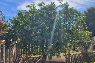 802 N Alzora Way, Tolleson, AZ 85353 - Photo 28