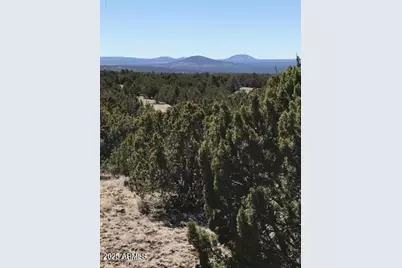 Lot 20 Idlewild Ranch #20, Concho, AZ 85924 - Photo 6