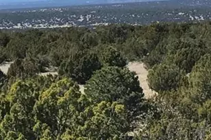 Lot 20 Idlewild Ranch, Concho, AZ 85924 - Photo 1