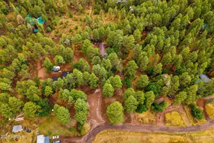 2444 S Jan Ln, Pinetop, AZ 85935 - Photo 50
