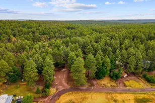 2444 S Jan Ln, Pinetop, AZ 85935 - Photo 46