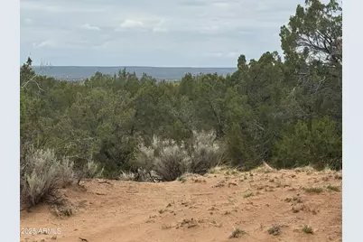 Lot 78 Witch Well Ranches -- #78, Saint Johns, AZ 85936 - Photo 1
