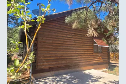 2145 Fishermans Road, Overgaard, AZ 85933 - Photo 4