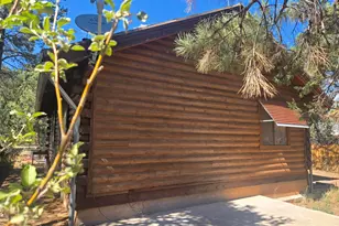 2145 Fishermans Rd, Overgaard, AZ 85933 - Photo 4