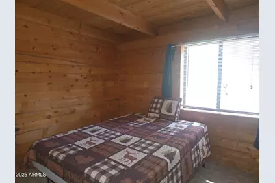 2145 Fishermans Road, Overgaard, AZ 85933 - Photo 18