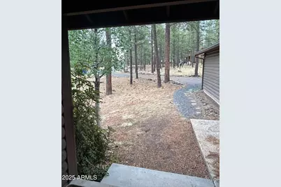 3 County Road N1029 --, Greer, AZ 85927 - Photo 22