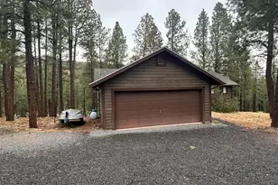 3 County Road N1029 --, Greer, AZ 85927 - Photo 8