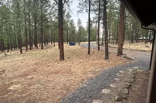 3 County Road N1029 --, Greer, AZ 85927 - Photo 58