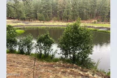 3 County Road N1029 --, Greer, AZ 85927 - Photo 1