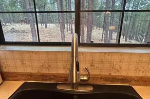 3 County Road N1029 --, Greer, AZ 85927 - Photo 16