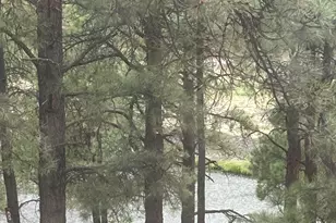 3 County Road N1029 --, Greer, AZ 85927 - Photo 62