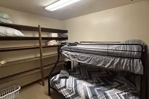 3 County Road N1029 --, Greer, AZ 85927 - Photo 46