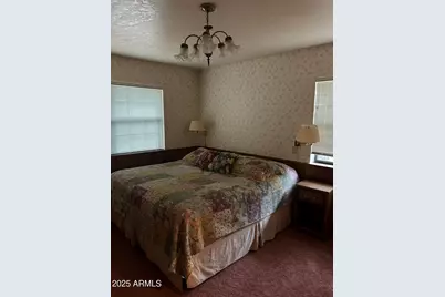 3 County Road N1029 --, Greer, AZ 85927 - Photo 28