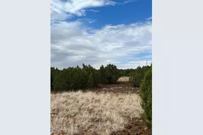 8766 Clark Road #-, Show Low, AZ 85901 - Photo 1