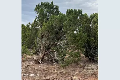 8766 Clark Road #-, Show Low, AZ 85901 - Photo 2