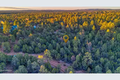 2333 Elk Ridge Lane #004H, Overgaard, AZ 85933 - Photo 18