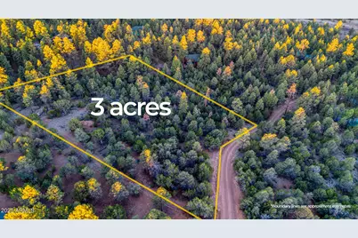 2333 Elk Ridge Lane #004H, Overgaard, AZ 85933 - Photo 2