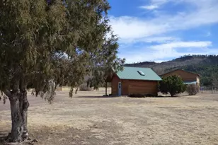 41451 Hwy 180 --, Nutrioso, AZ 85932 - Photo 56