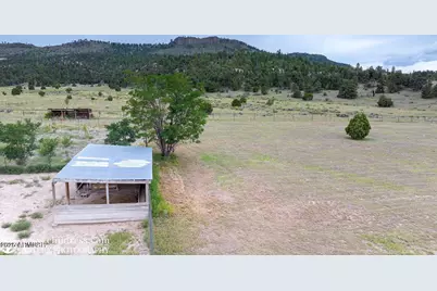 41451 Hwy 180 --, Nutrioso, AZ 85932 - Photo 38