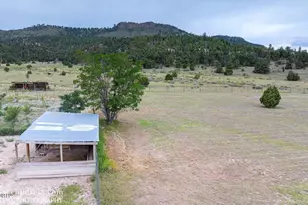 41451 Hwy 180 --, Nutrioso, AZ 85932 - Photo 38